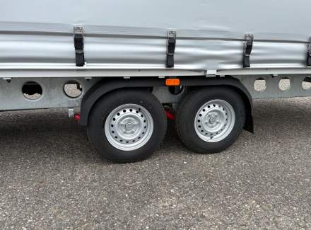 Iveco - Daily