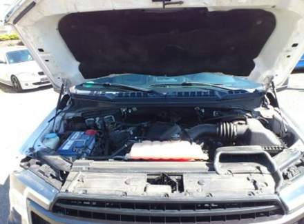 Ford - F-150