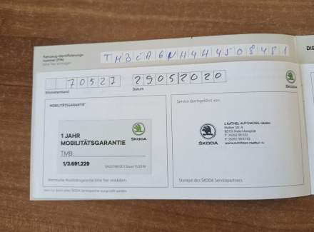 Škoda - Rapid