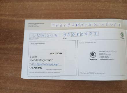 Škoda - Rapid