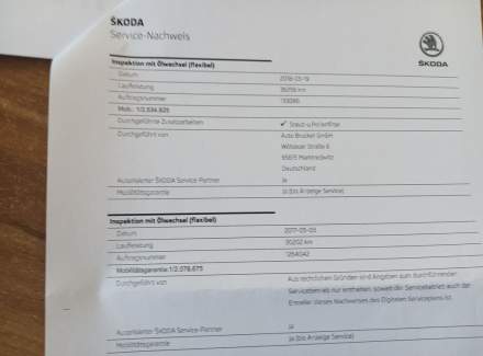 Škoda - Rapid