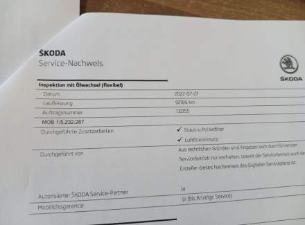 Škoda - Rapid