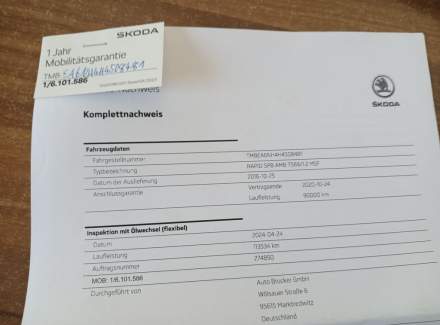 Škoda - Rapid