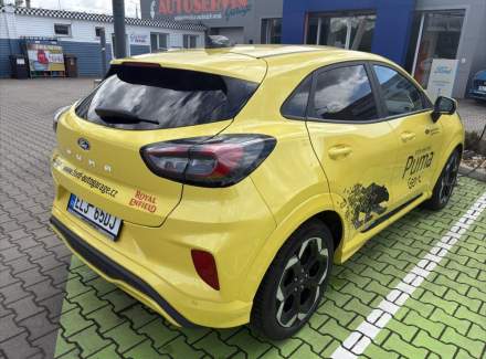 Ford - Puma