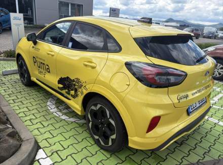 Ford - Puma