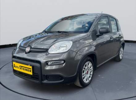 Fiat - Panda