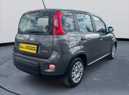 Fiat - Panda