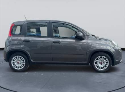 Fiat - Panda