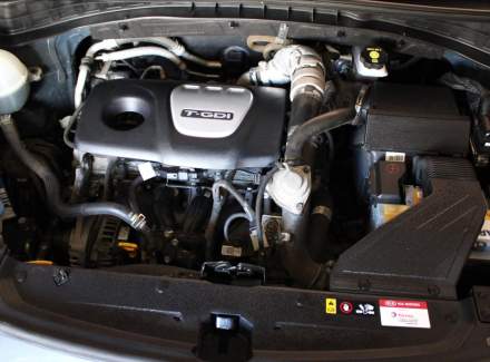 Kia - Sportage
