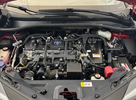 Toyota - C-HR
