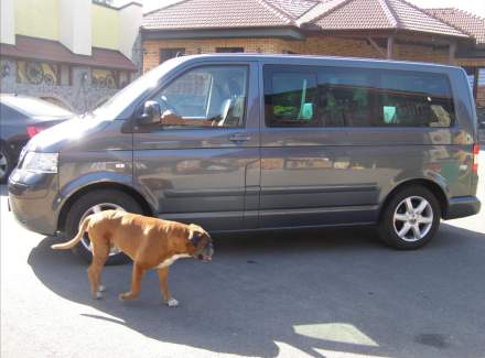 Volkswagen - Multivan