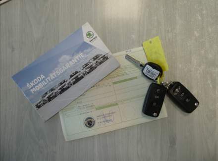 Škoda - Rapid