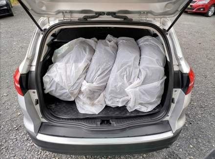 Ford - Focus
