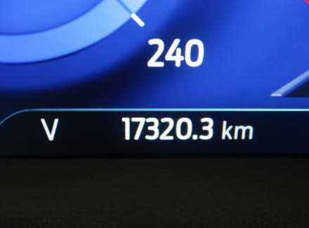 Ford - Kuga
