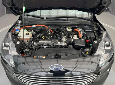 Ford - Kuga