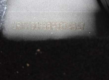 Tesla - Model Y