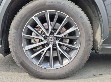 Lexus - NX