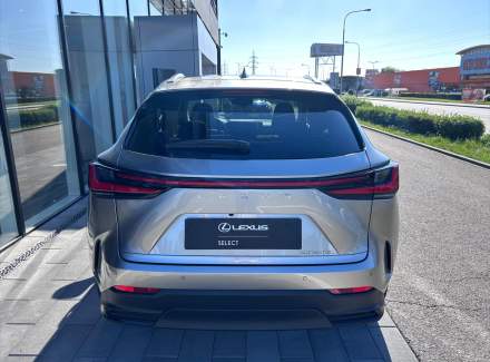 Lexus - NX