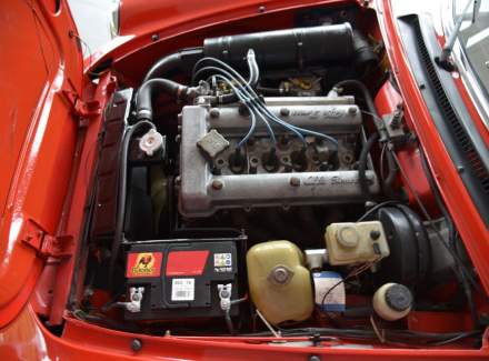 Alfa Romeo - Spider