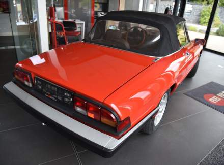 Alfa Romeo - Spider