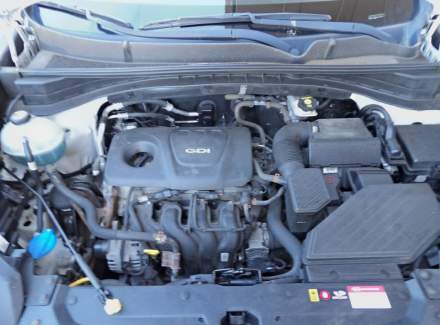 Kia - Sportage