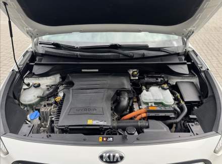 Kia - Niro