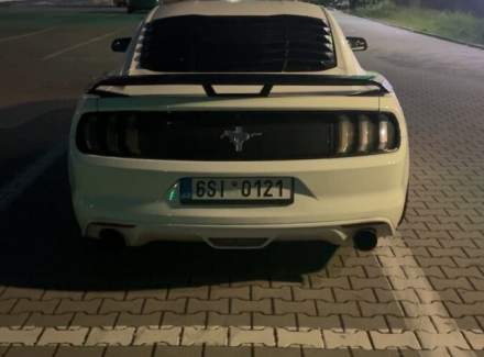 Ford - Mustang