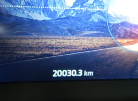 Ford - Kuga