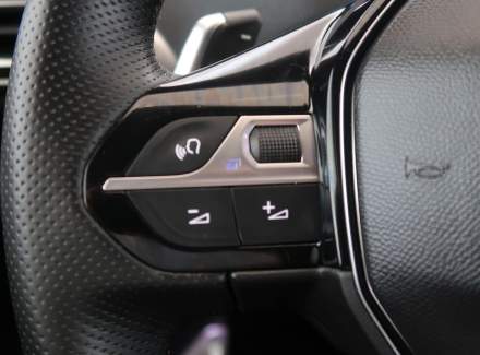 Peugeot - 3008