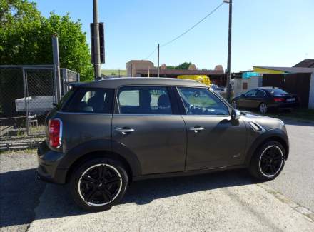Mini - Countryman