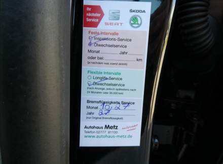 Seat - Ibiza