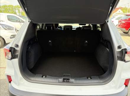 Ford - Kuga