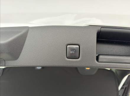 Ford - Kuga