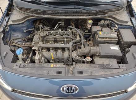 Kia - Rio