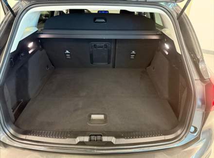 Ford - Focus