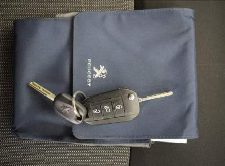 Peugeot - Traveller