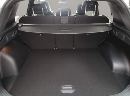 Kia - Sportage