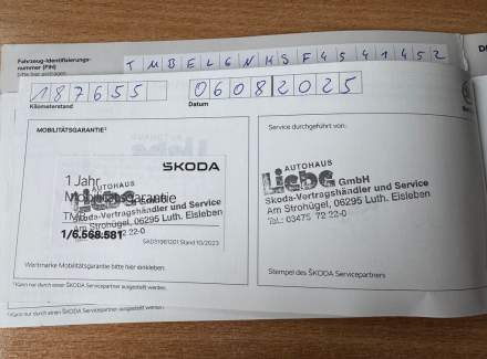 Škoda - Rapid