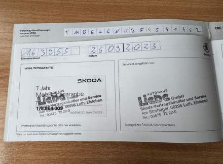 Škoda - Rapid