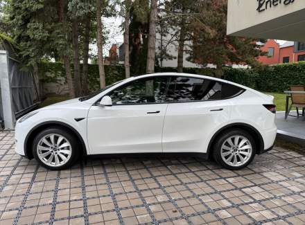 Tesla - Model Y