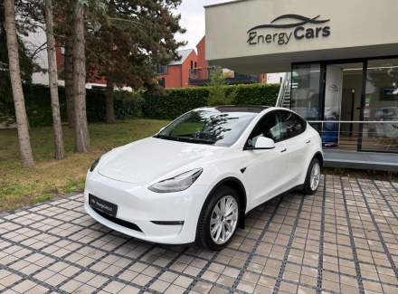 Tesla - Model Y