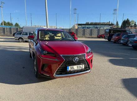 Lexus - NX