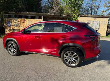 Lexus - NX