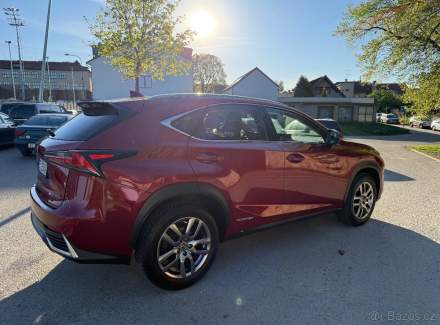 Lexus - NX