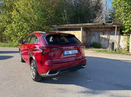 Lexus - NX
