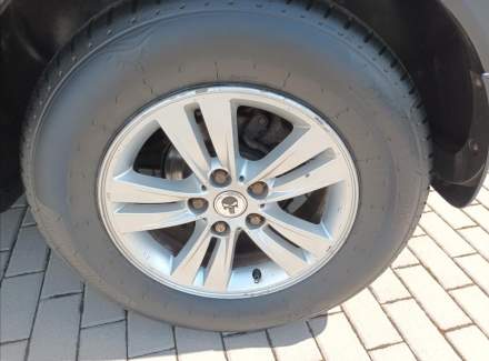 Kia - Sportage