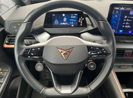 Cupra - Born