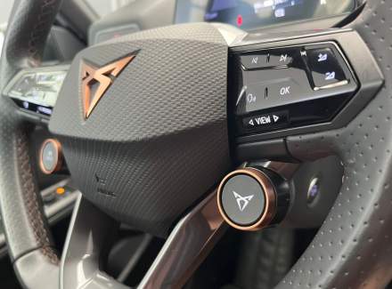 Cupra - Born