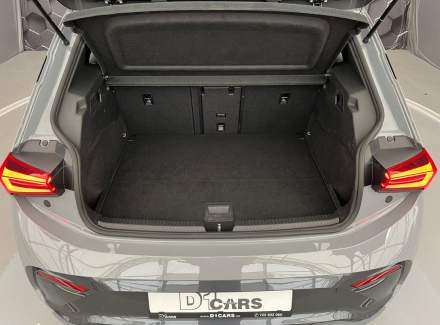 Cupra - Born
