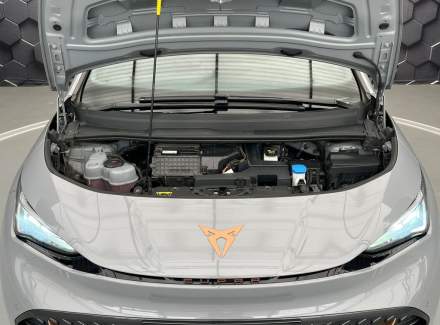 Cupra - Born
